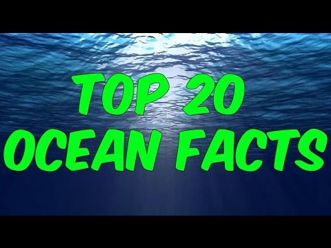 Top 20 ocean facts