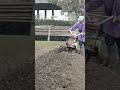 tractor plow the Vegetable field#picture #ytshorts