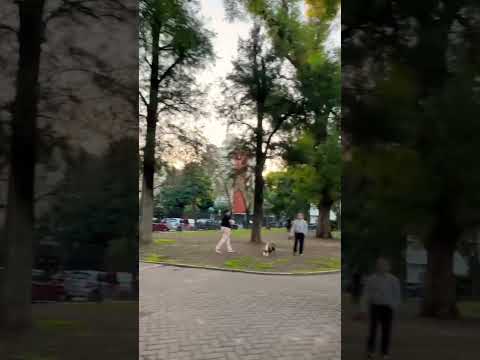 Plaza Castelli es sin dudas una de las más lindas de Buenos Aires #walking #shorts #buenosaires