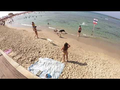 ISRAEL - Tel Aviv Beach Promenade on Cycle