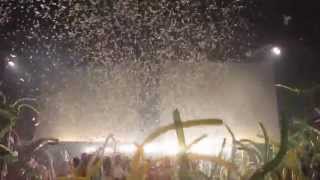 Coco Bongo, Cancún. Cotillón. Excelente! HD