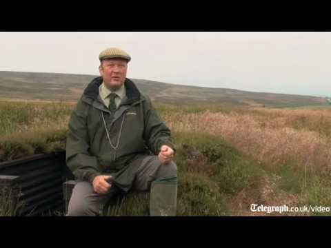 The case for grouse shooting