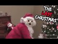 Top 5 Scary Christmas Urban Legends That Will Keep You Up Tonight