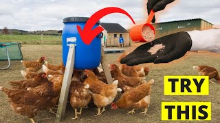 Destroy ALL Chicken Worms INSTANTLY by Putting This Powder in Your Chickens Drinking Water