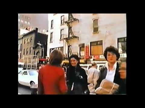 Social Life of Small Urban Spaces 1980   William H