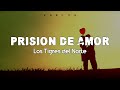 "Prision De Amor" - Los Tigres Del Norte (Letra)