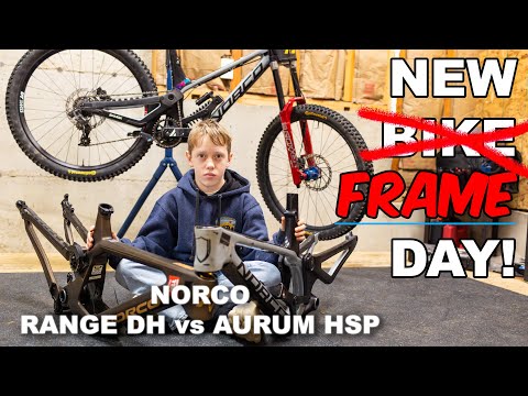 NEW FRAME DAY | Norco Aurum HSP vs Range DH Mullet