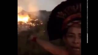 CRIMINOSOS ESTÃO QUEIMANDO A AMAZÔNIA