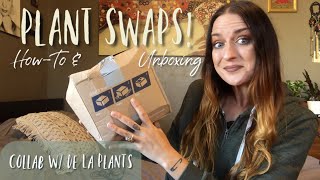 How to Trade Plants With Friends | Packing & Unboxing Plant Mail