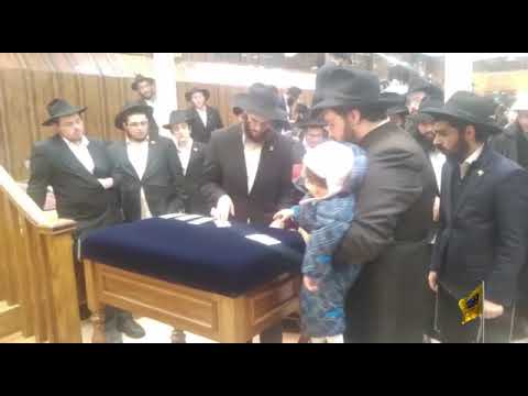 חלוקת דולרים להוספה בצדקה - י' טבת