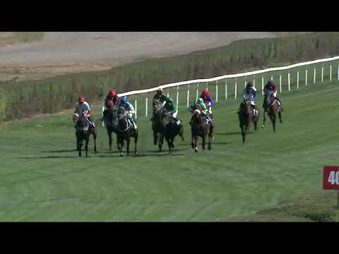 2021.09.26. 02. futam - NYERETLEN KÉTÉVESEK VERSENYE (IV.kat.)