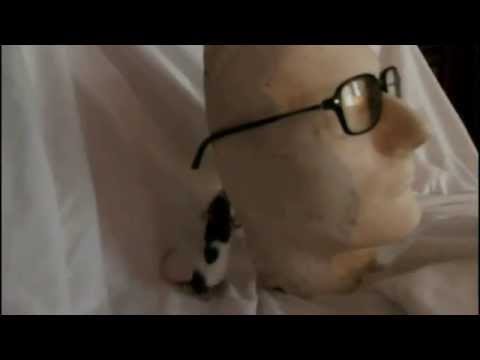 DIAMETRAL: HELL! HELL! HELL! (From Head To Toe - REMIX) (2011/12)