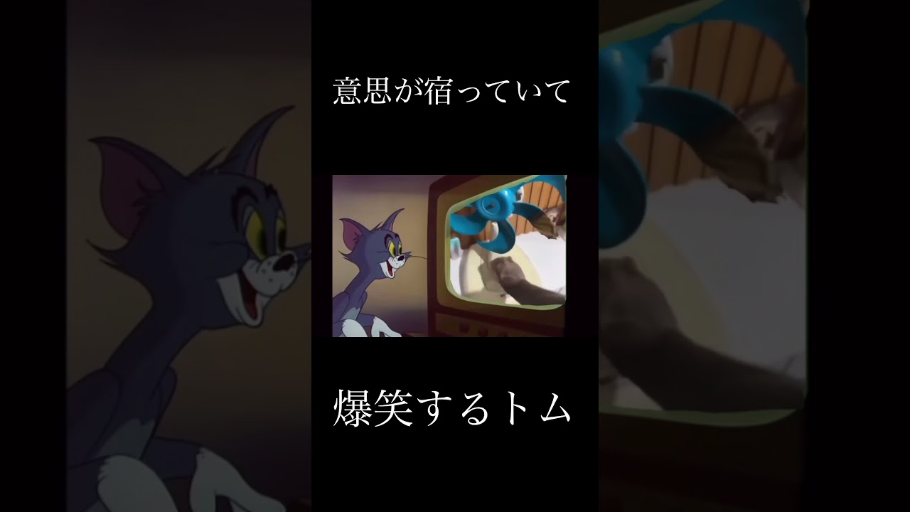意思が宿っていて爆笑するトム #shorts