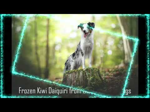Frozen Kiwi Daiquiri from the wild powerdogs 13 Monate