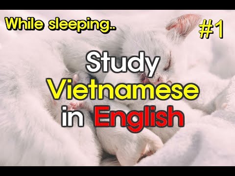 Study Vietnamese in English while Sleeping (8 hours) | Part #1 | Useful Expressions | 영어로 베트남어 공부하기