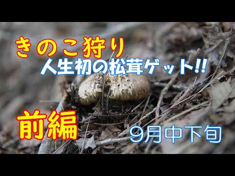 キノコの季節に最適なヒント 庭の練習