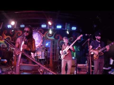 Noah Young Band // NACHOS // Live at the Blue Nile in New Orleans, LA