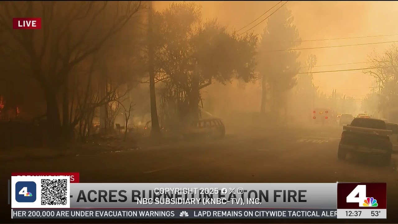 Watch Live: Brush fire burns near homes in Hollywood Hills near Runyon Canyon