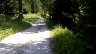 preview picture of video 'Pecol di Zoldo Alto - freeride/downhill.wmv'