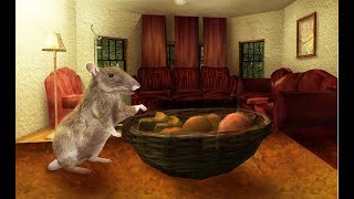 Rat Simulator 3D Gameplay Video Android/iOS