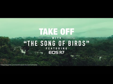 TAKE OFF with the new Canon EOS R7 – Song of Birds