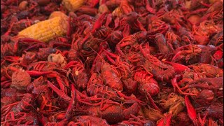 Last Crawfish Boil 2024