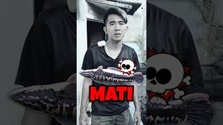 Download lagu PANIC! WHEN I GET INFORMATION THAT THE TOMAN MONSTER DIED IN THE POOL mp3