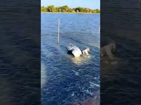 food for fish 🐟 accidentally #26october #lifeisbutadream #food #animallovers #art