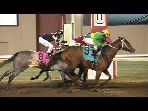 Springboard Mile 2019