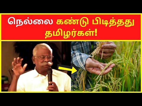 தமிழை அழிக்கும் திராவிடம் | Maso Victor Latest Public Speaking on Dravidam Rice