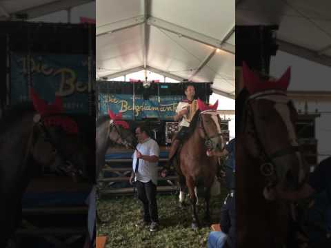 Die Bergdiamanten   Dr Baur und sei Gaul