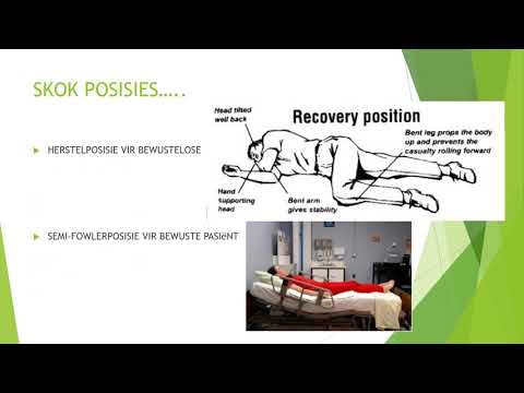 GASVRYHEIDSTUDIE GRAAD 10: 28 Mei 2020 - periode 3 (28103)