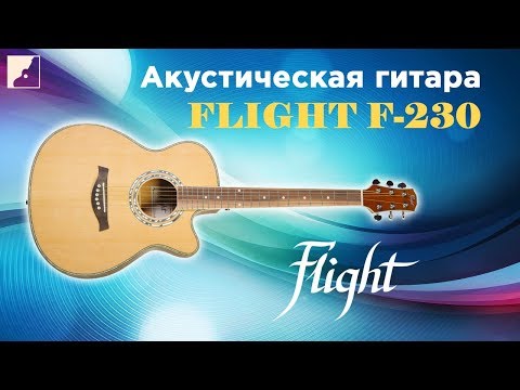Обзор Flight F-230C