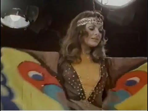 Motylem jestem, czyli romans 40 latka