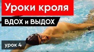 Как правильно плавать брассом и дышать