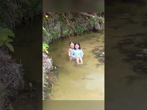 Viagens pela Amazônia Rio Preto da Eva #caminhoparaumavidamelhor