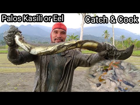 Nakahuli ng Palos o Igat!! #PanghuhuliatPangangapa - Part2