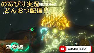 どんおつ配信「ゼルダの伝説 ティアーズオブザキングダム」17