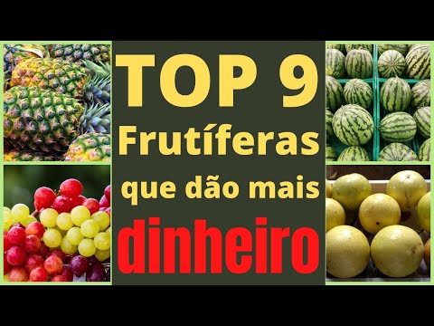 , title : 'TOP 9 FRUTÍFERAS que dão mais DINHEIRO. Saiba qual CULTIVO COMERCIAL dá mais LUCRO!'