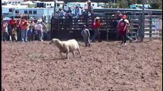 preview picture of video 'Mutton Busting, Kids Youth Rodeo, HHH Enterprises, Little Britches Rodeo Wisconsin, Dallas Wisconsin'