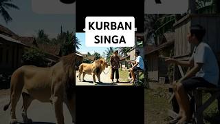 Download lagu SIK DADI KORBAN MALAH PANITIANE MBAH ! . dagelan jawa #lucu #dagelanjawa #kurbansinga mp3 Download lagu SIK DADI KORBAN MALAH PANITIANE MBAH ! . dagelan jawa #lucu #dagelanjawa #kurbansinga mp3