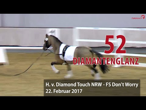 52 Diamantenglanz Hengst v. Diamond Touch NRW - FS Don´t Worry