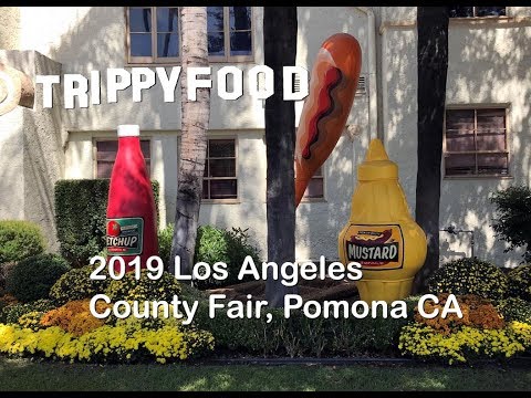 2019 Los Angeles County Fair, Pomona CA (ft. Wreckless Eating's Matt Zion)