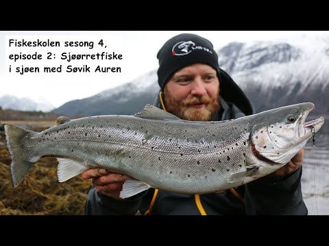 Havørredfiskeri med blink i Norge