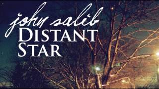 The Monster in Me // John Salib // Distant Star