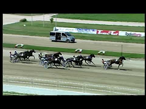 Napoli Trotto 21/05/2021 - 2ª corsa