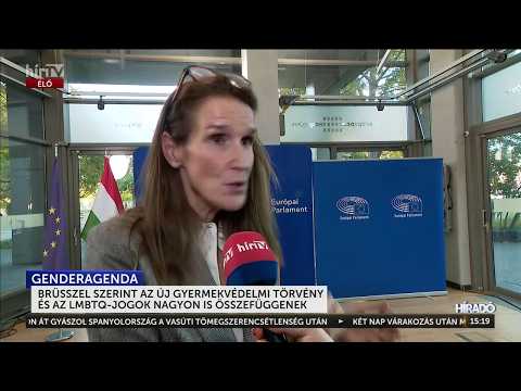 Az Európai Parlament delegációja a gyermekvédelmi törvény módosítását is méltatta - HírTV