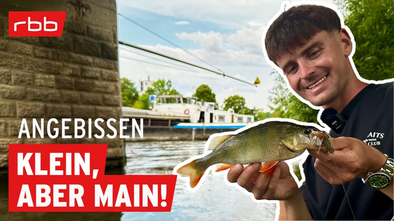 Sommerangeln in Felix Weckessers Heimat | Angebissen #205 | Angelpodcast