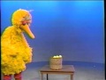 Sesame Street Big Bird Catches A Ball