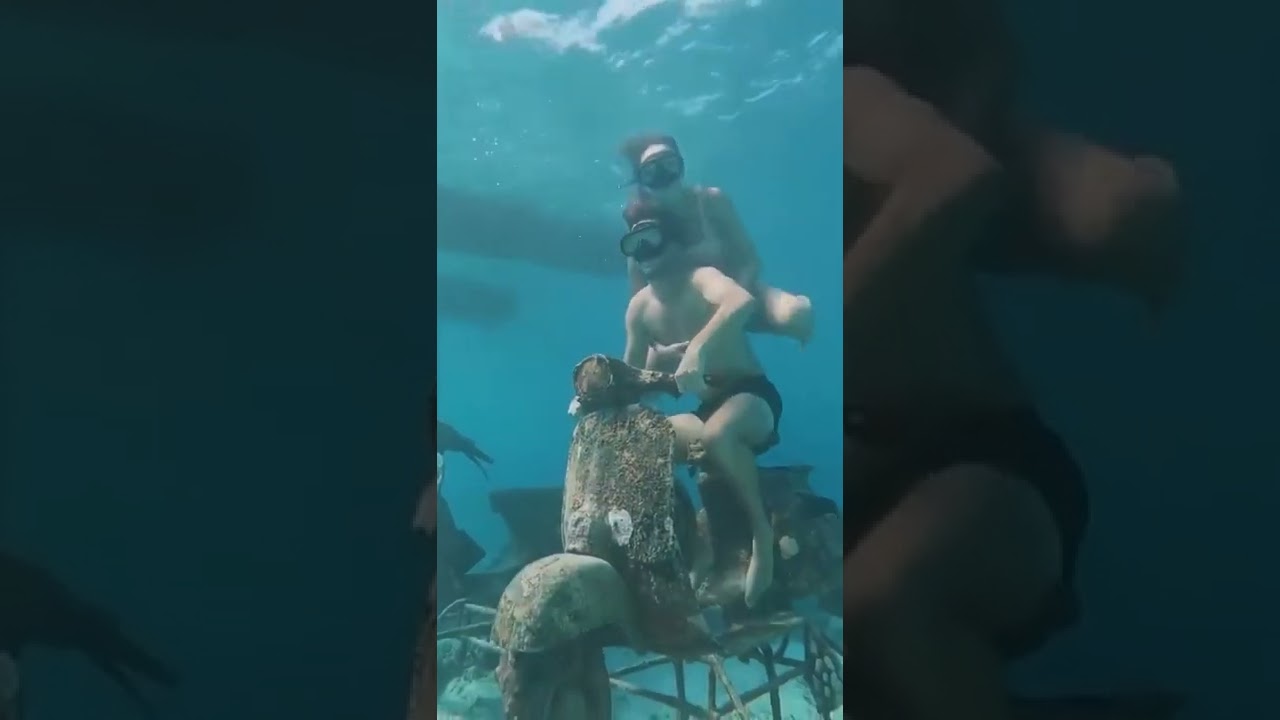 so cool 😍 #adventure #trip #snorkeling #shorts #short